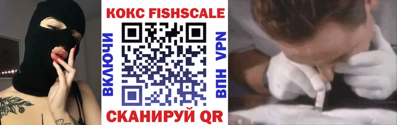 КОКАИН Fish Scale  цена наркотик  hydra ТОР  Тайга 