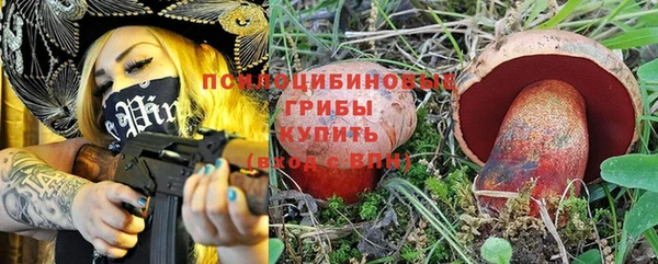 молекула духа Переславль-Залесский
