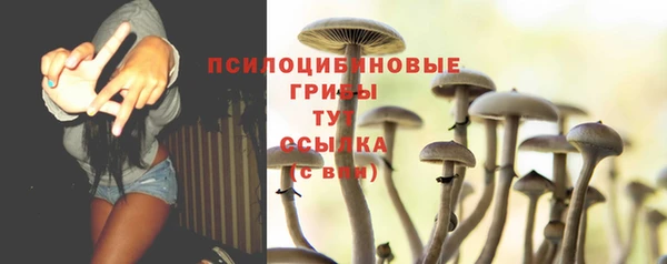 мескалин Пестово