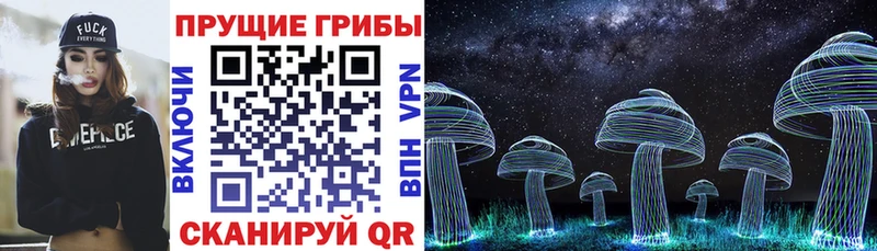 Галлюциногенные грибы Magic Shrooms  Тайга 